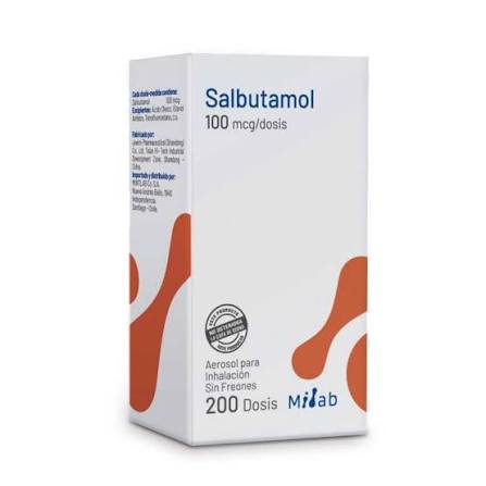 Salbutamol 100Mcg X 200 Dosis - Mintlab