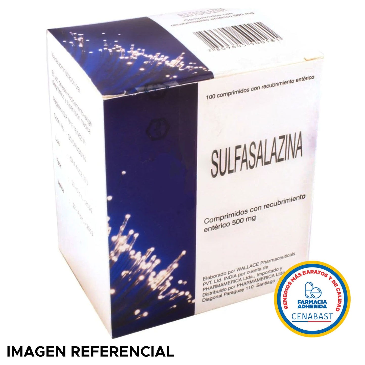 CENABAST - Sulfasalazina 500mg X 100 Comprimidos Con Recubrimiento Entérico - Farmacias San Martín